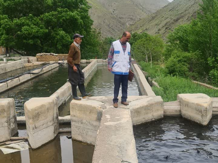 پایش بهاره مرکز تکثیر و پرورش ماهیان سردآبی واقع در چشمه سبز شهرستان گلبهار